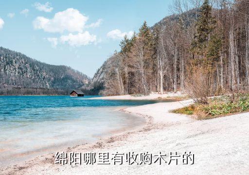 杂木片收购厂家电话，安徽阜阳哪里收杂树的粉碎木片