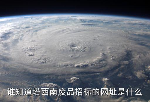 谁知道塔西南废品招标的网址是什么