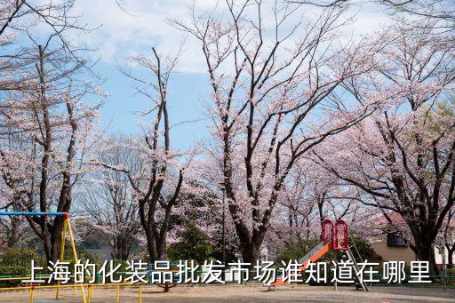 上海的化装品批发市场谁知道在哪里