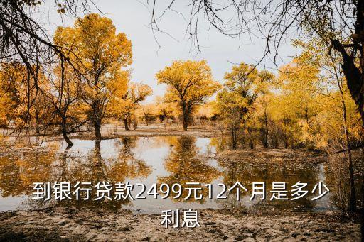 到银行贷款2499元12个月是多少利息