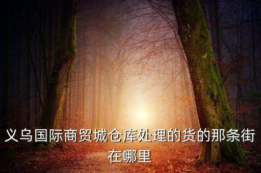 义乌国际商贸城仓库处理的货的那条街在哪里