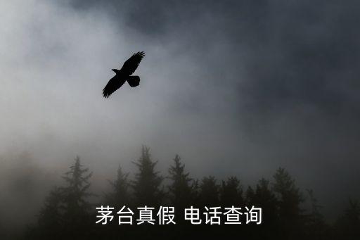 茅台真假 电话查询