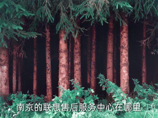 南京的联想售后服务中心在哪里