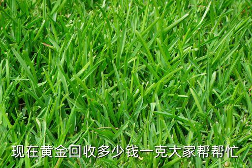 现在黄金回收多少钱一克大家帮帮忙