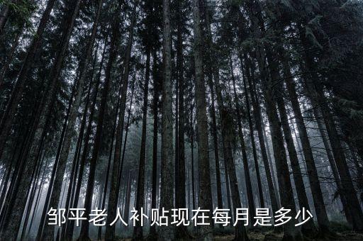邹平老人补贴现在每月是多少