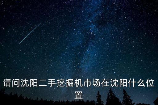 请问沈阳二手挖掘机市场在沈阳什么位置