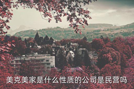 美克美家是什么性质的公司是民营吗