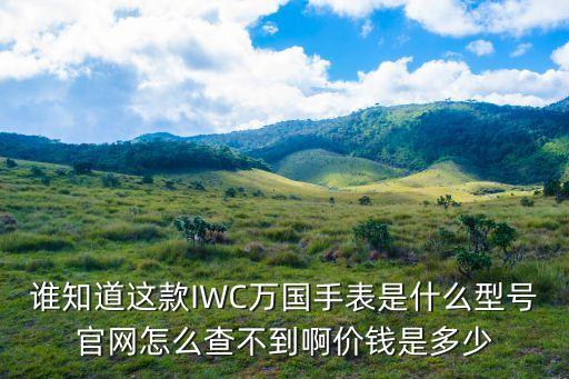 谁知道这款IWC万国手表是什么型号官网怎么查不到啊价钱是多少