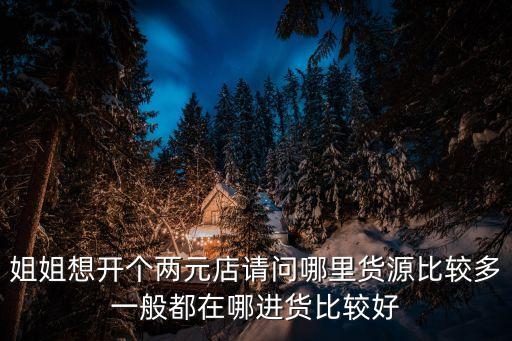 姐姐想开个两元店请问哪里货源比较多一般都在哪进货比较好