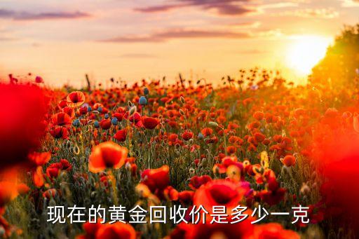 现在的黄金回收价是多少一克