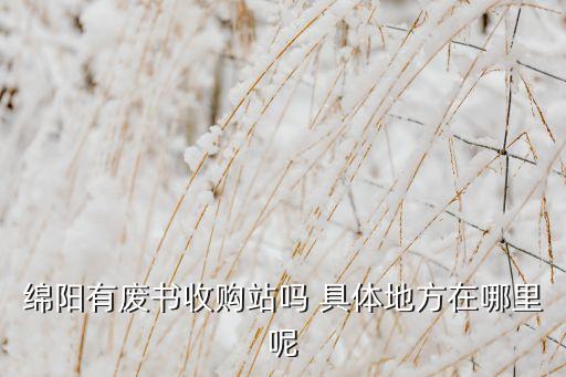 绵阳有废书收购站吗 具体地方在哪里呢