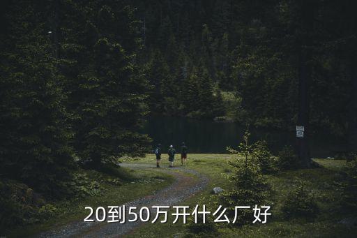 20到50万开什么厂好