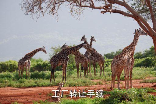 工厂转让手续