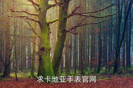 求卡地亚手表官网