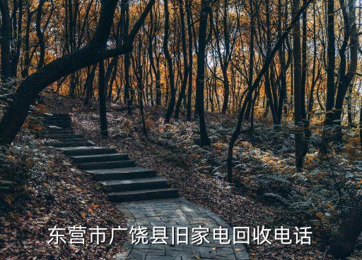 东营市广饶县旧家电回收电话