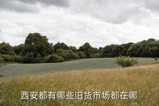 西安都有哪些旧货市场都在哪