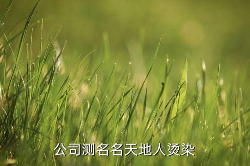 公司测名名天地人烫染