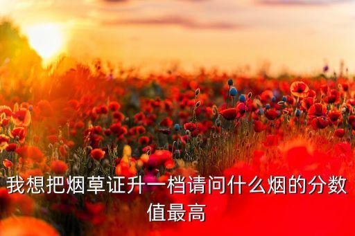 我想把烟草证升一档请问什么烟的分数值最高