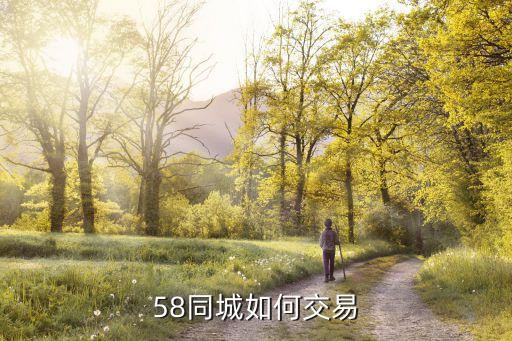 58同城如何交易