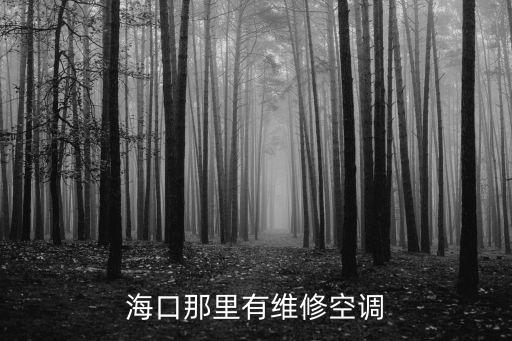 海口那里有维修空调