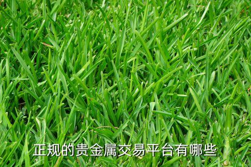 贵金属网上交易平台，正规的贵金属交易平台有哪些