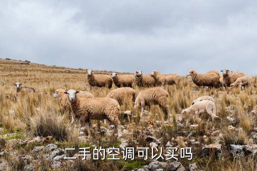 二手的空调可以买吗