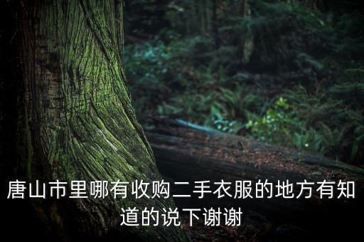 唐山附近哪里有收旧衣服，唐山哪里有线下二手置换手里的旧衣服玩具太多了扔了太可惜