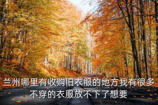 兰州哪里有收购旧衣服的地方我有很多不穿的衣服放不下了想要