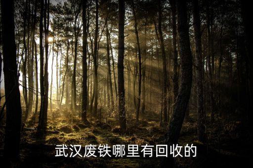 武汉废铁哪里有回收的