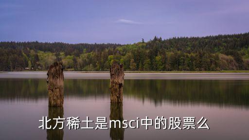 北方稀土是msci中的股票么