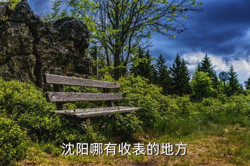 沈阳哪有收表的地方