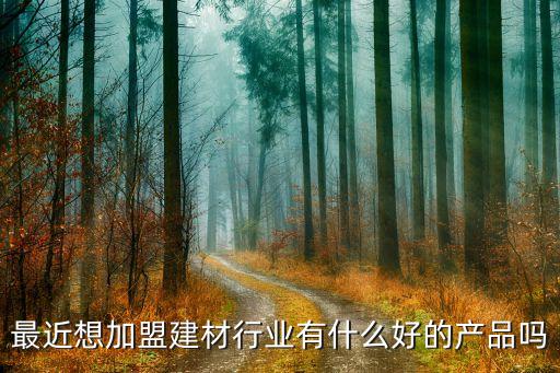 最近想加盟建材行业有什么好的产品吗