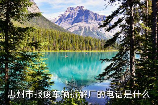 惠州市报废车辆拆解厂的电话是什么