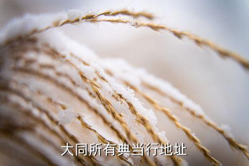 大同所有典当行地址
