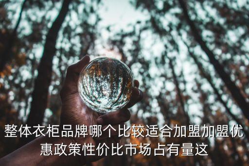 整体衣柜品牌哪个比较适合加盟加盟优惠政策性价比市场占有量这