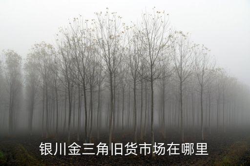 银川金三角旧货市场在哪里