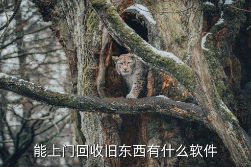 能上门回收旧东西有什么软件