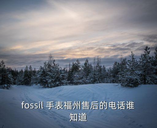 fossil 手表福州售后的电话谁知道