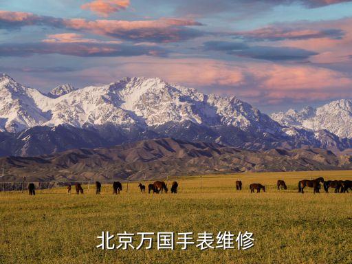 北京万国手表维修
