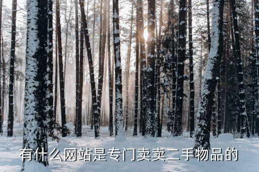 有什么网站是专门卖卖二手物品的