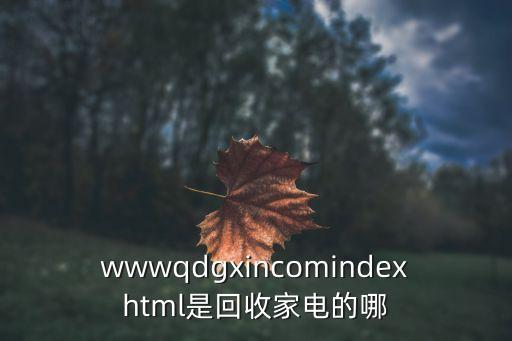 wwwqdgxincomindexhtml是回收家电的哪