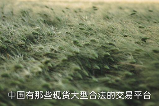 中国有那些现货大型合法的交易平台