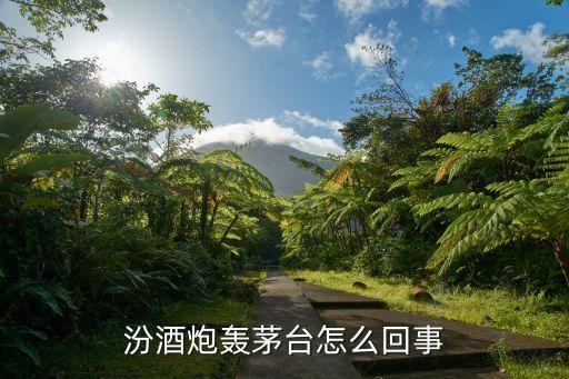 汾酒炮轰茅台怎么回事