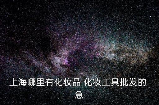 上海哪里有化妆品 化妆工具批发的 急