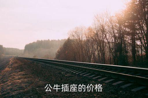 公牛插座的价格