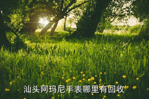 汕头阿玛尼手表哪里有回收