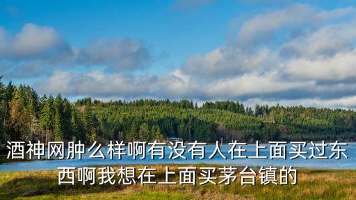 酒神网肿么样啊有没有人在上面买过东西啊我想在上面买茅台镇的