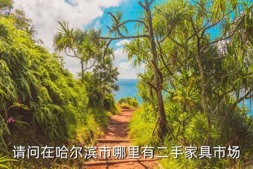请问在哈尔滨市哪里有二手家具市场