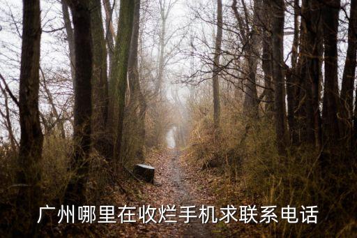 广州哪里在收烂手机求联系电话