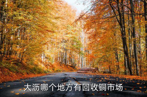 大沥哪个地方有回收铜市场